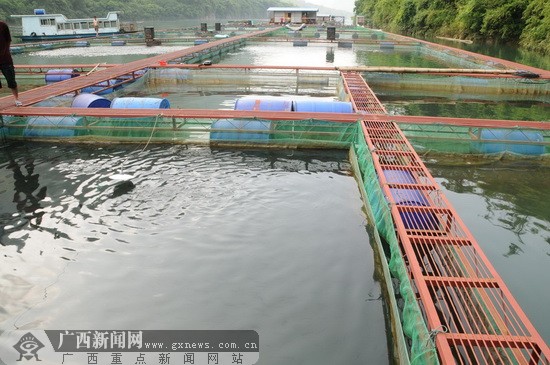 网箱养鱼视频 网箱养鱼的优缺点