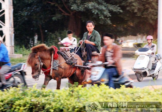 潮汕马夫图片