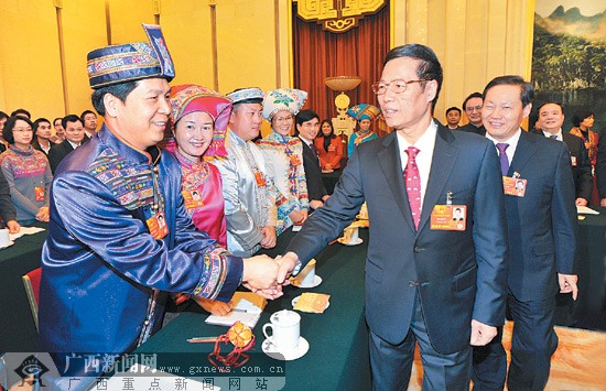 广西代表团团长彭清华,自治区主席,广西代表团副团长马飚一同参加审议