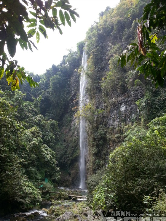 古龍山峽谷群風景區位於靖西縣湖潤鎮境內,峽谷內溪流彎曲