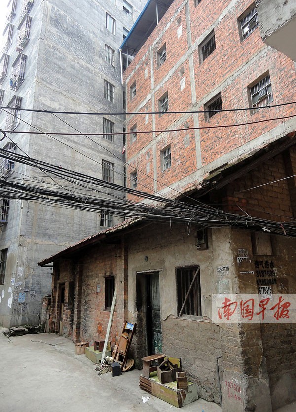 圈养在猪圈的小猪.南宁市西乡塘区友爱村村委称将上门做老人工作