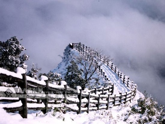 乐业雪景图片