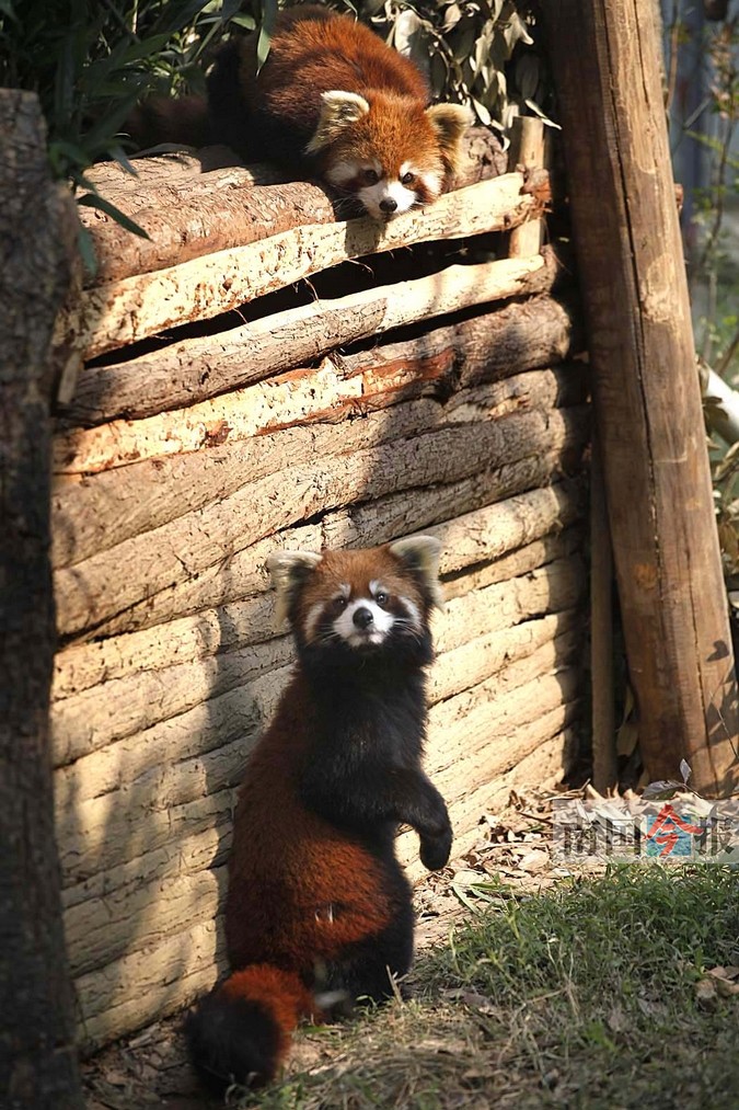 18日焦点图:柳州特警进学校|手机广西网
