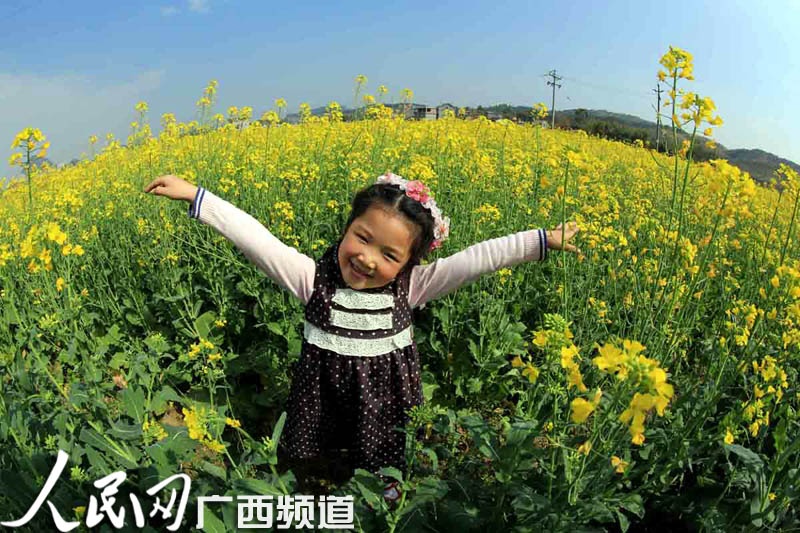 融安:踏青赏花庆新年