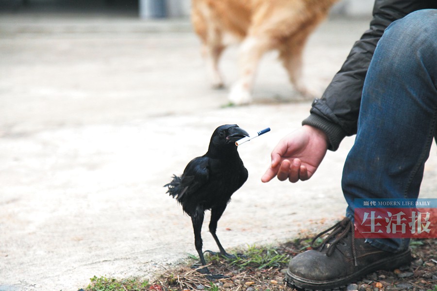 焦点图南广铁路12月具备开通条件