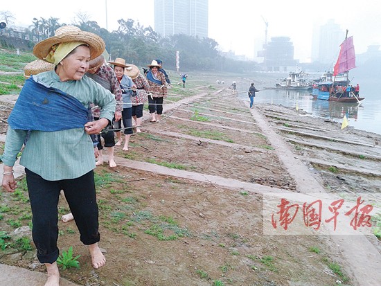 "纤夫"拉船,撒网打鱼 邕江"船家女"模拟水上生活