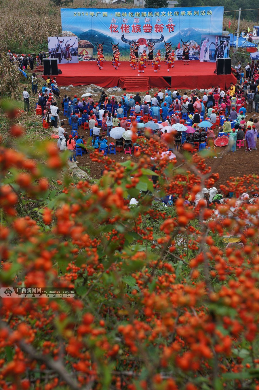 高清:"尝新节"仡佬族同胞祭拜神树跳八音舞-广西新闻图集