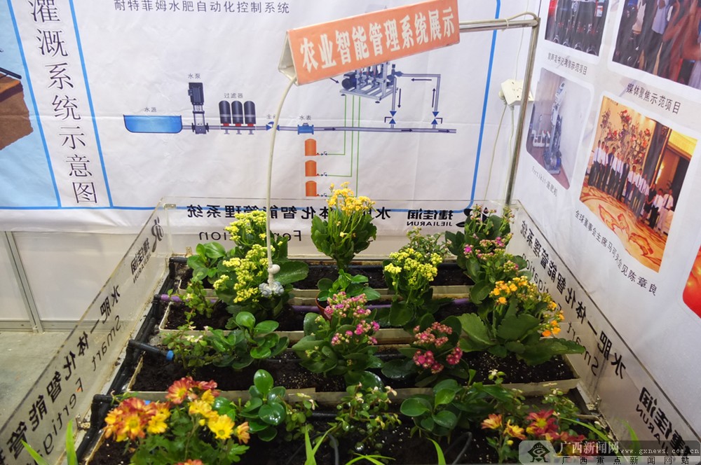 壺䶫Ƚչ  ռ䶨λȵ