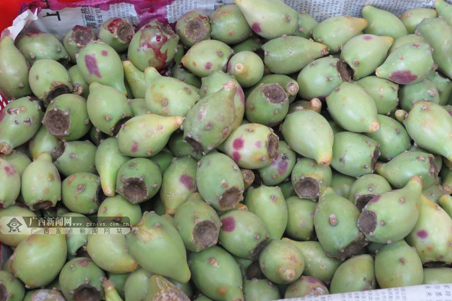 壺̽õ11춫ũҵչ ˮ˰