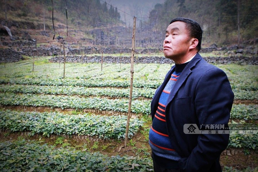 2014年年终盘点之人物篇:平民传奇