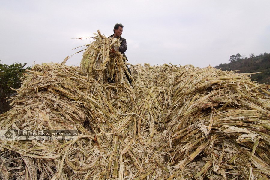 ���壺¡��׳��Ⱥ�ڸ��ƺ���ӭ�´�