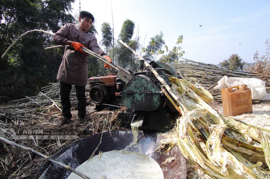 ���壺¡��׳��Ⱥ�ڸ��ƺ���ӭ�´�