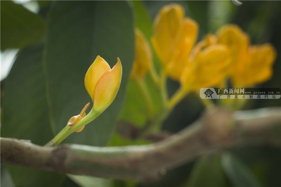 壺һһһĻ 3԰·滨