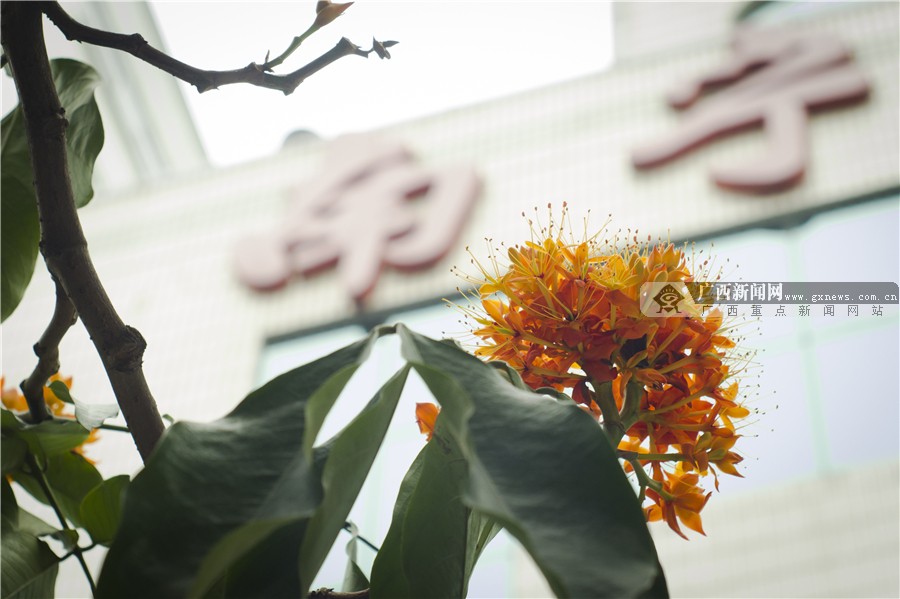 壺һһһĻ 3԰·滨