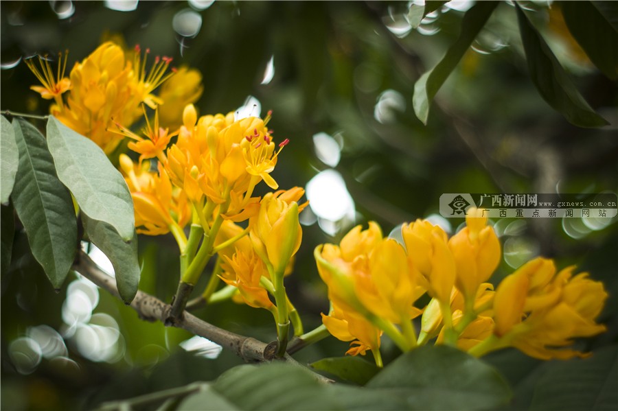 壺һһһĻ 3԰·滨