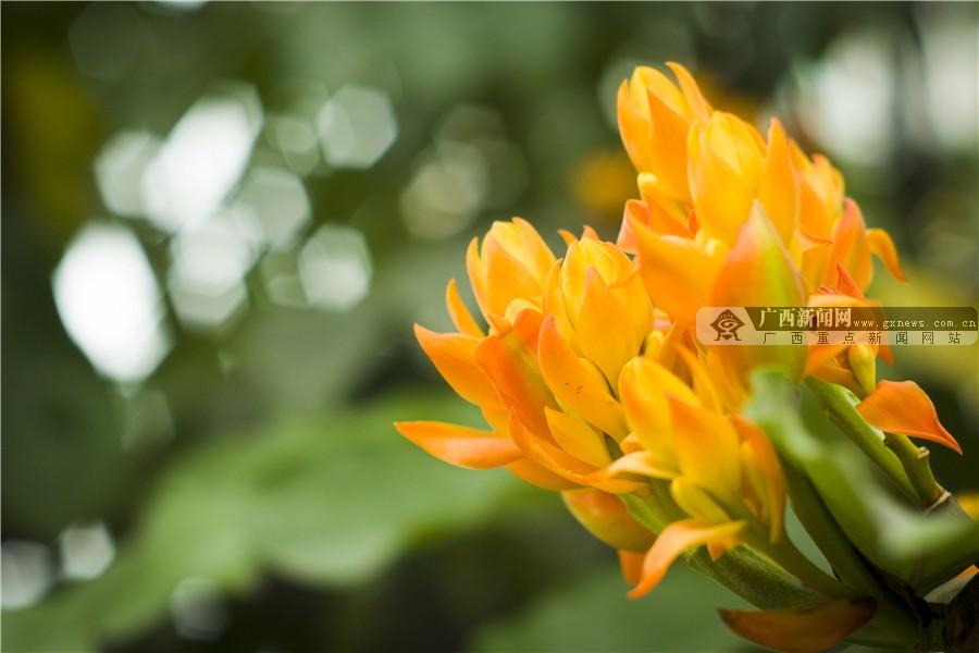 壺һһһĻ 3԰·滨