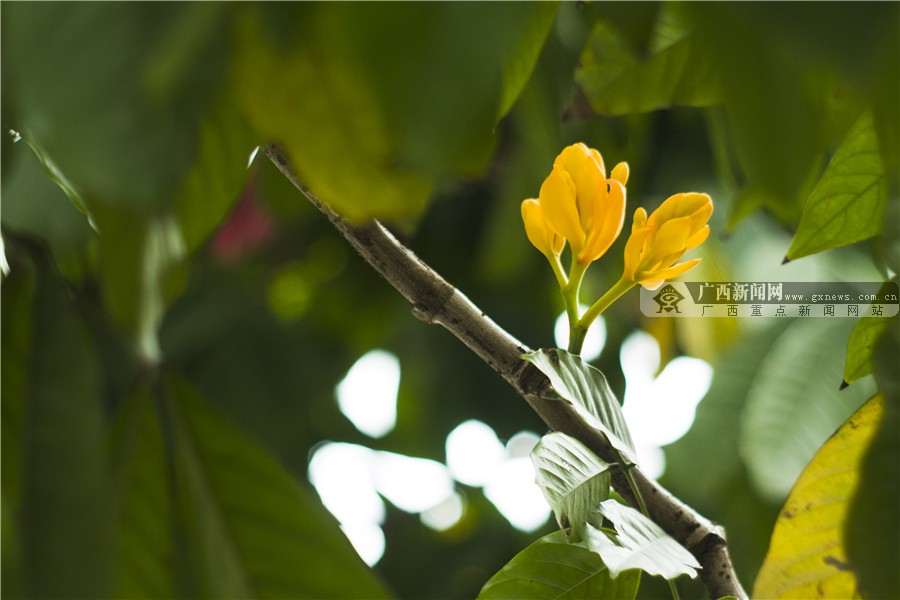 壺һһһĻ 3԰·滨