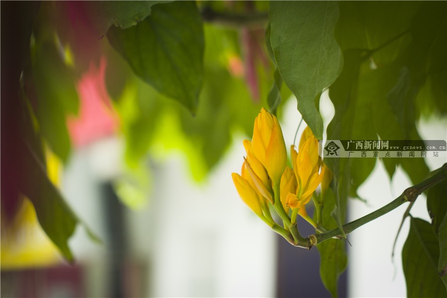 壺һһһĻ 3԰·滨