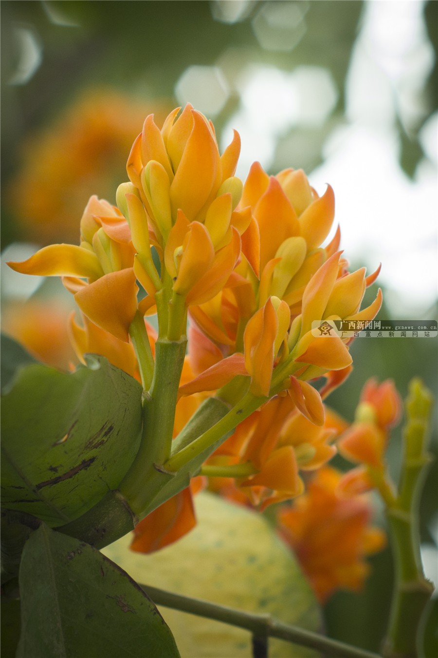 壺һһһĻ 3԰·滨