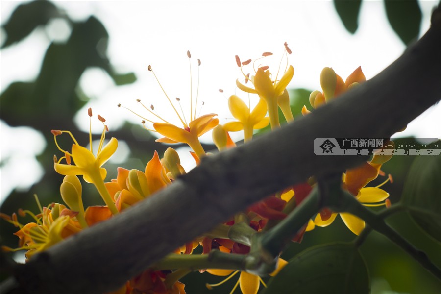 壺һһһĻ 3԰·滨