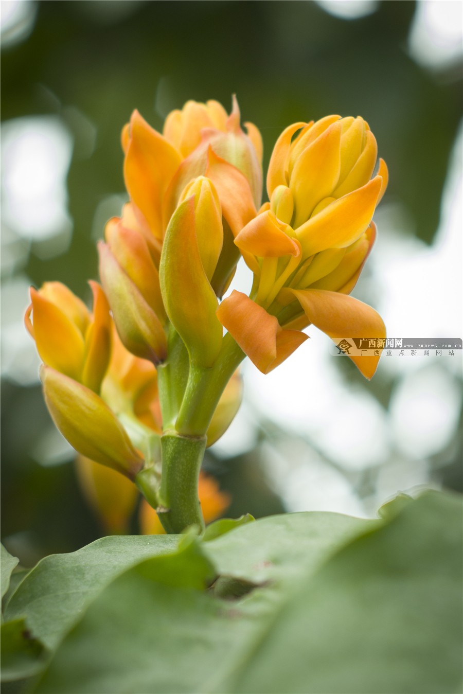 壺һһһĻ 3԰·滨