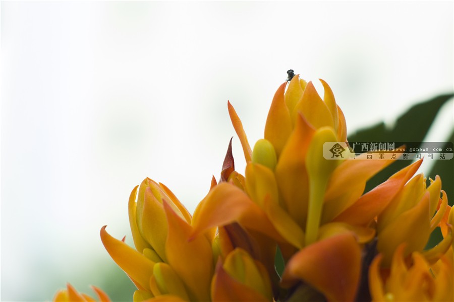 壺һһһĻ 3԰·滨