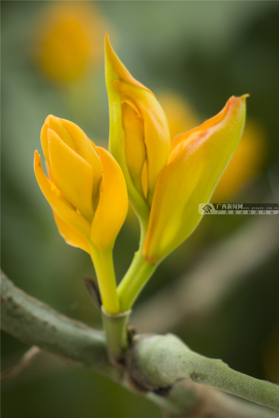 壺һһһĻ 3԰·滨