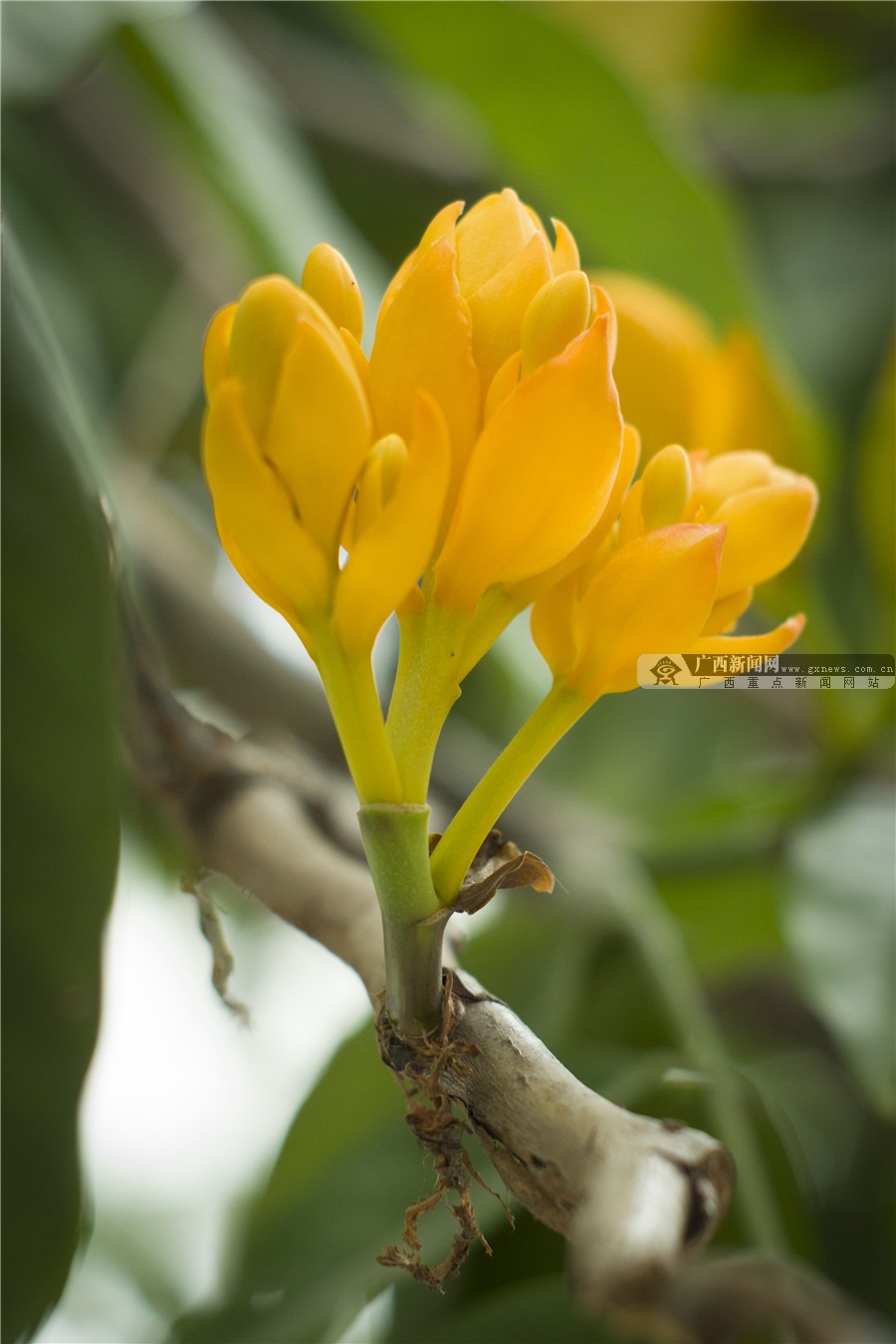 壺һһһĻ 3԰·滨