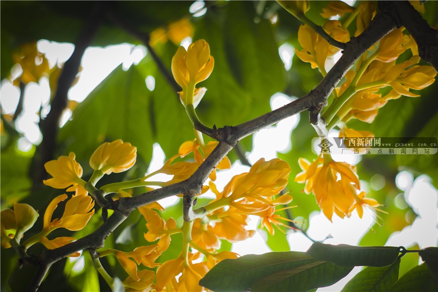 壺һһһĻ 3԰·滨