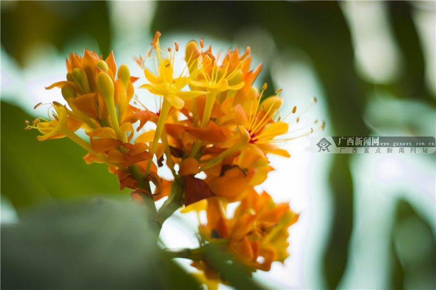 壺һһһĻ 3԰·滨