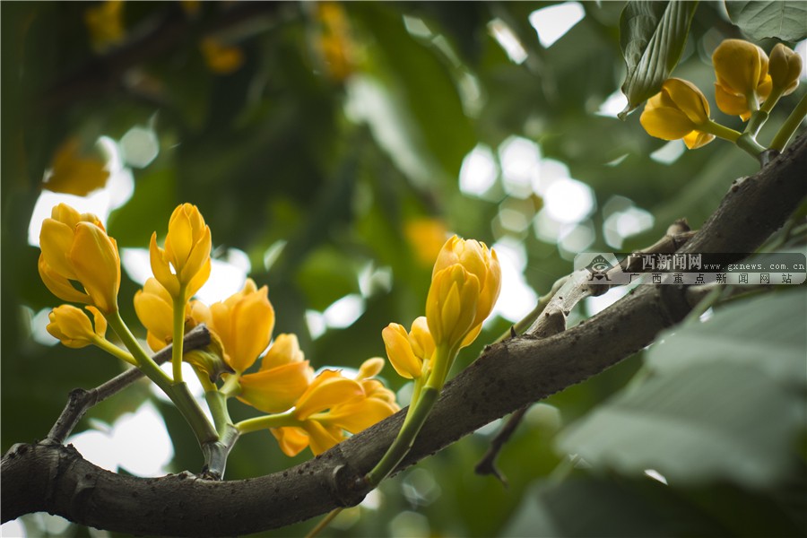 壺һһһĻ 3԰·滨