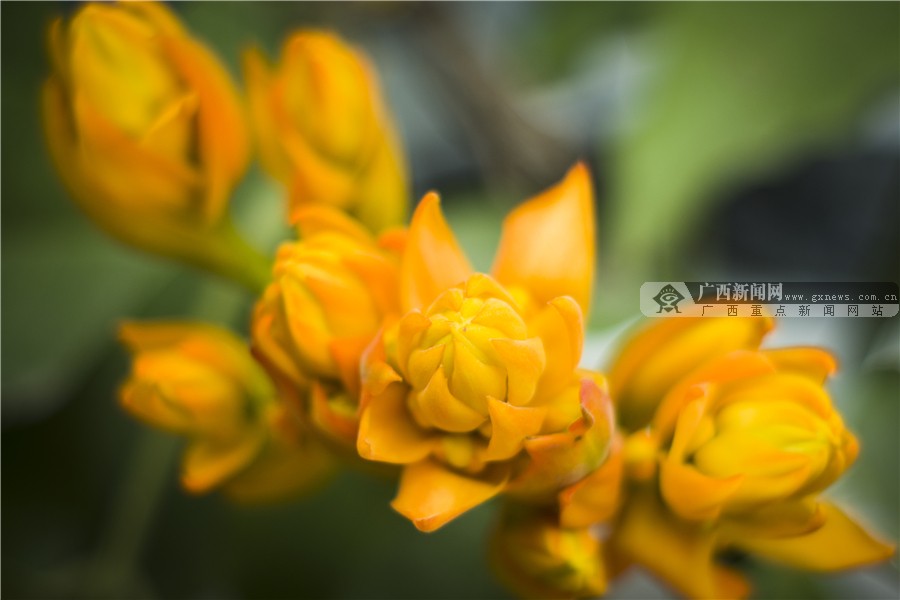 壺һһһĻ 3԰·滨