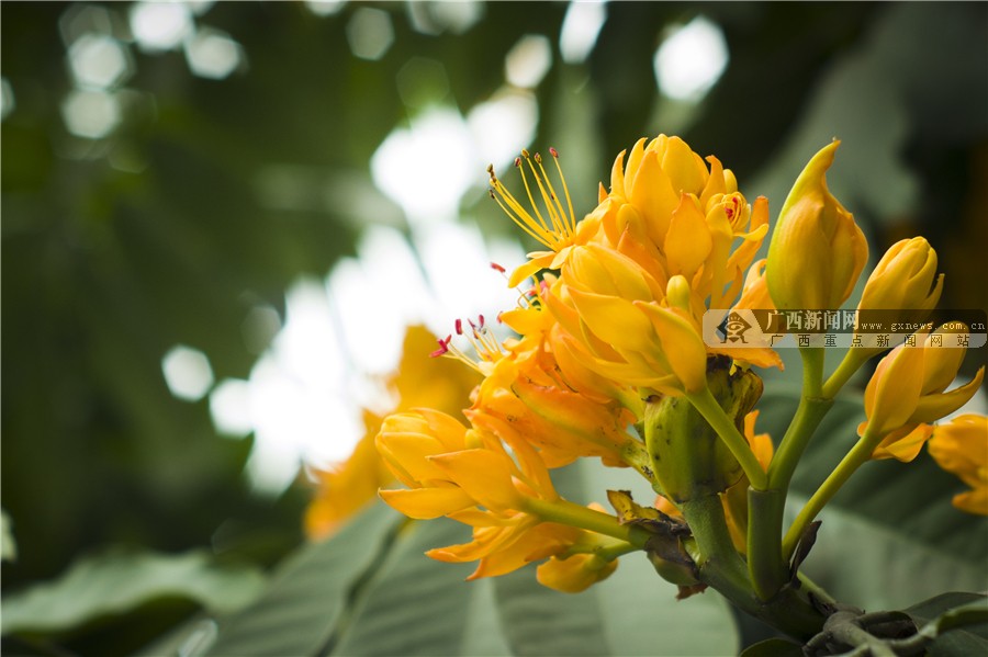 壺һһһĻ 3԰·滨