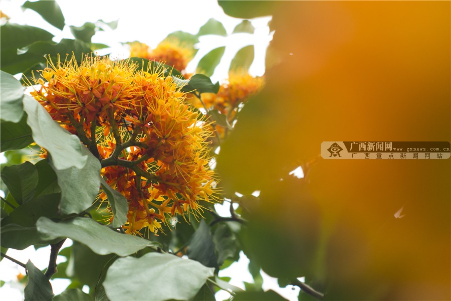 壺һһһĻ 3԰·滨