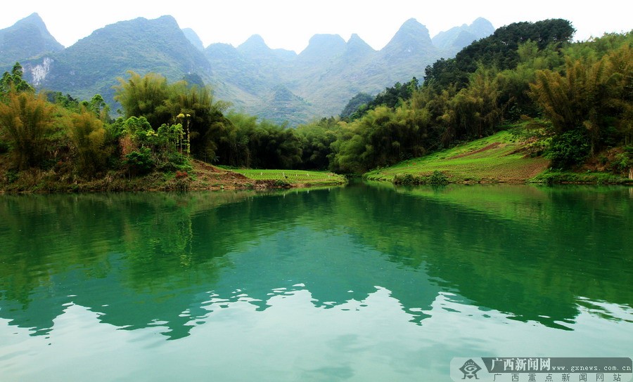 高清:阳春三月 来次说走就走的大化七百弄美丽行|手机广西网