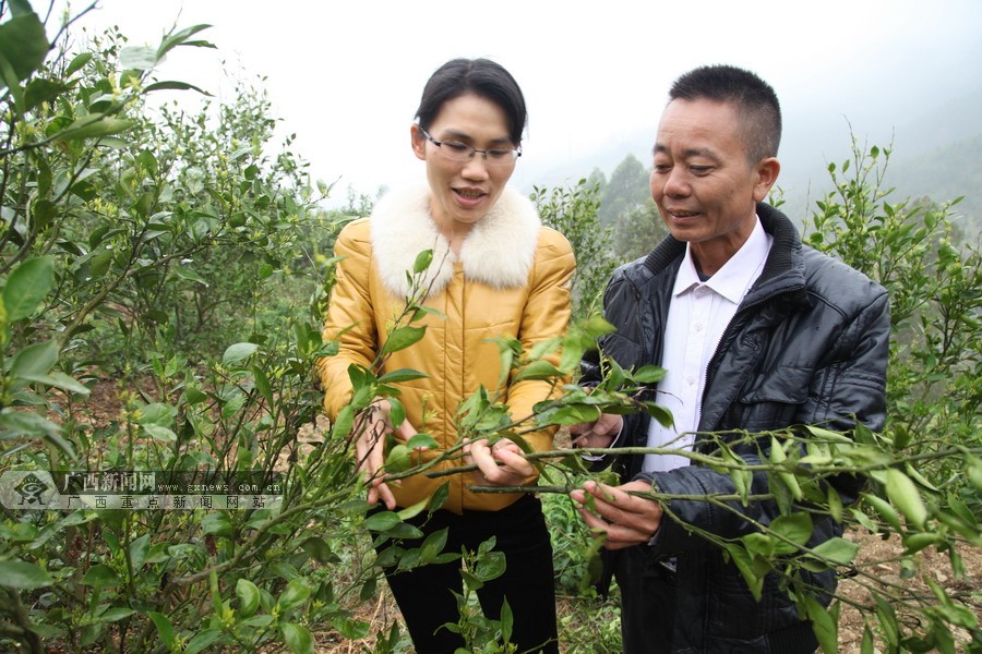 来源:广西新闻网[编辑中心]编辑:苏琳