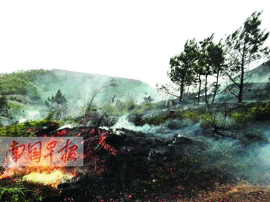 欽州冷凍廠後山的大火. 羅觀保攝