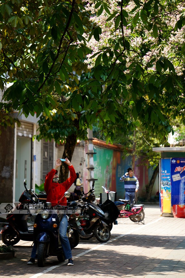 图片站 掌媒 桂刊 网眼观察 专题 时评 通讯员 东盟 文化 红豆社区&