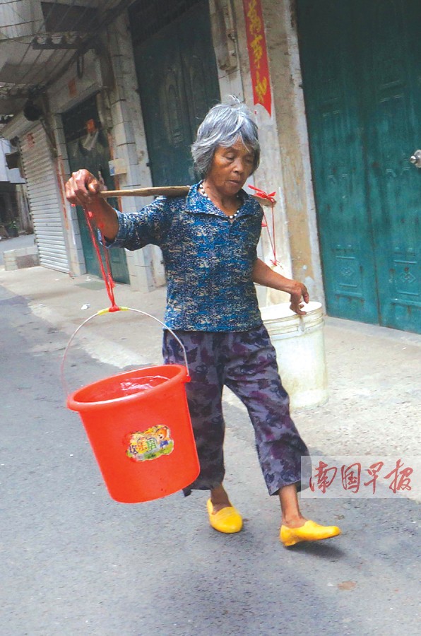 5月20日焦点图10岁荷兰女孩合浦寻找亲生父母2031