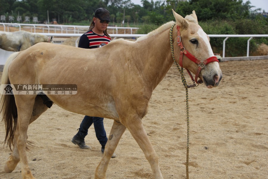 ����һ����ת�����Ϸ� ��ɳ�������ˮ�ϰ���