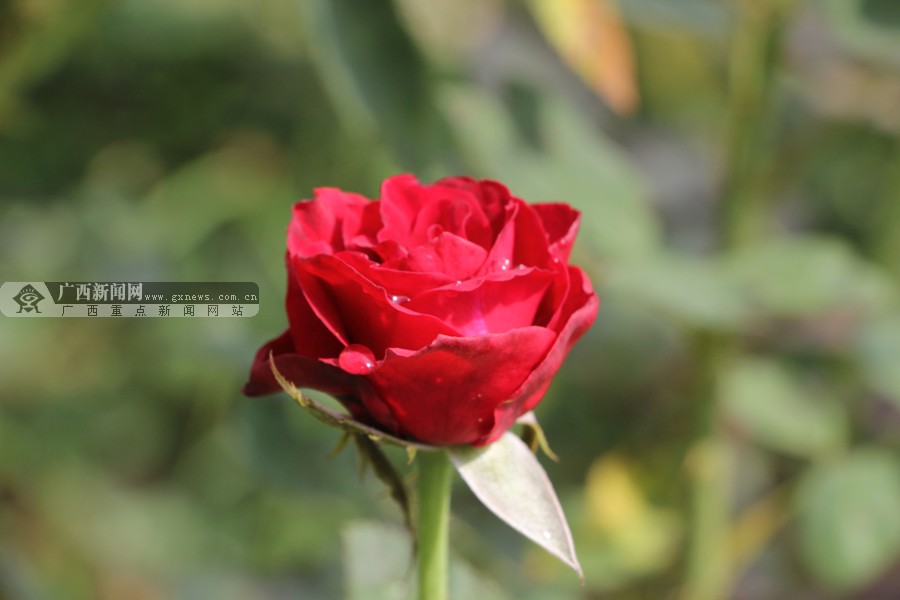 ����һ����ת�����Ϸ� ��ɳ�������ˮ�ϰ���