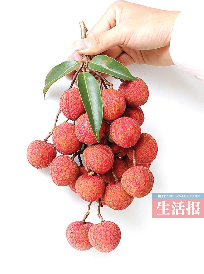 荔枝属于亚热带水果,其在种植环节所受的病虫害可能有蛀蒂虫,蝽象虫和