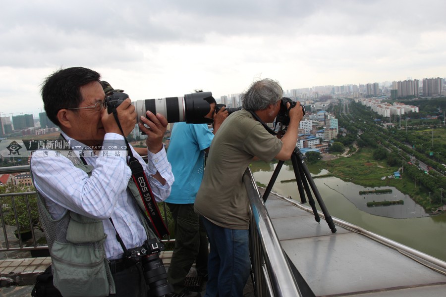 ȫӰҾ۽Ϸ þͷ¼彨