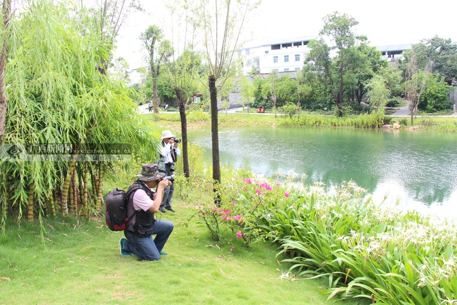 ȫӰҾ۽Ϸ þͷ¼彨