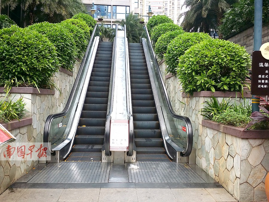 小区自动扶梯大多成摆设 每次维保动辄上万元(图)