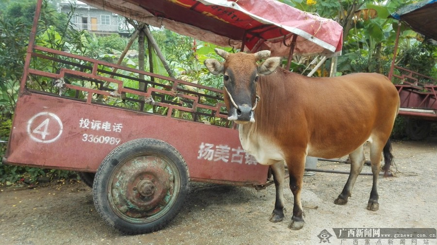 高清图集:古色扬美 美食诱人|手机广西网