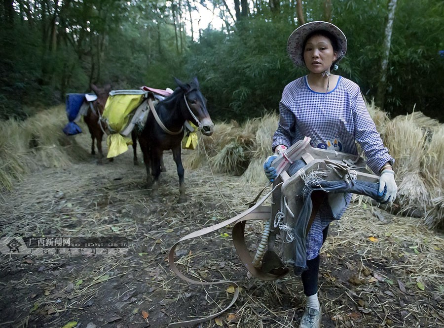 脸谱:桂西马帮山间走出幸福路|手机广西网