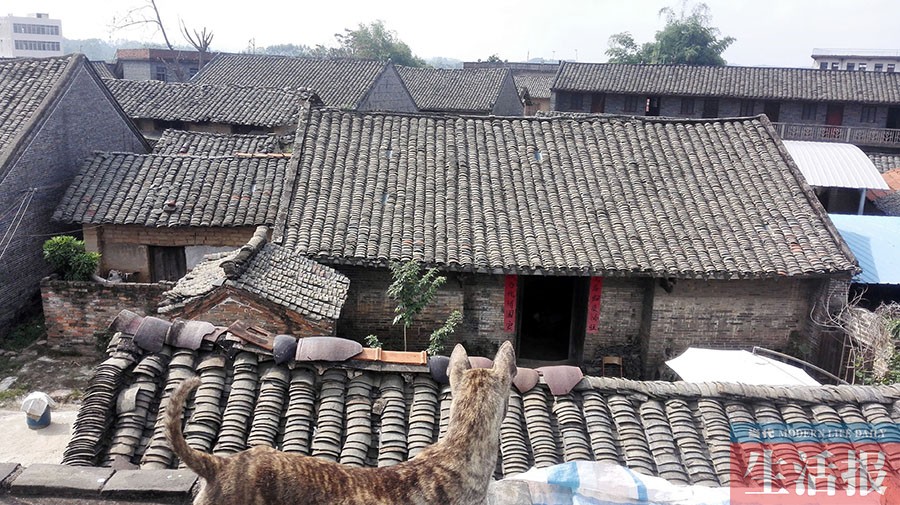 南宁石埠街道办三民坡300多年古宅"活"了(组图)