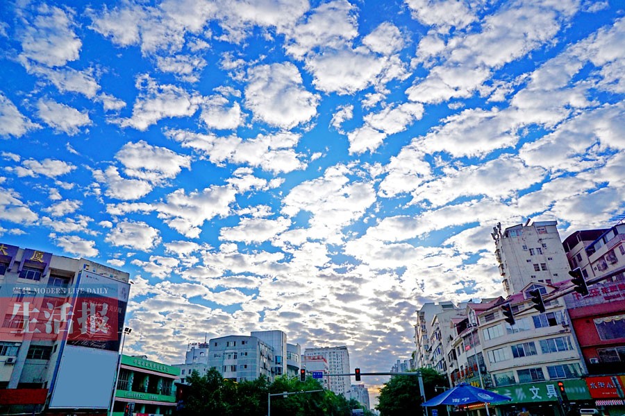 南宁上空现美丽鱼鳞云 预示今明两天天气不错(图)