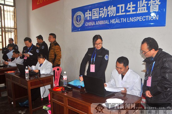南宁首次将羊犬列入动物检疫操作技能检评比赛